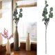 thumbnail image 2 of Planta de ramas de ramita de hojas de eucalipto artificiales de 70 cm para decoración de habitación/fiesta de boda verde, 2 of 8
