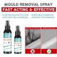 thumbnail image 3 of Mildew Remover, Furniture Tile Floor Mildew Remover, Wall Mildew Remover, 3 of 5