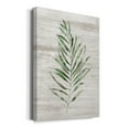 thumbnail image 2 of Tropic Frond II Premium Gallery Wrapped Canvas - Ready to Hang, 2 of 9