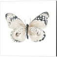 thumbnail image 3 of Great Art Now Steady Wings by Patricia Pinto 2 Piece Canvas Art Set Each 14"W x 14"H, 3 of 3