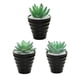 thumbnail image 4 of Matsuzay Bonsái Artificial paisaje interior simulación decorativa suculenta miniatura Mini plantas adornos de arreglo de escritorio Decoración Tipo3, 4 of 6