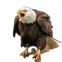 LAMIRO Reflective Owl Decoy - Bird Scare Hawk, Fake Owl Hanging Decoration, Effective Bird Control Device to Deter Pigeons, Woodpeckers & More - Ideal for Gardens, Patios