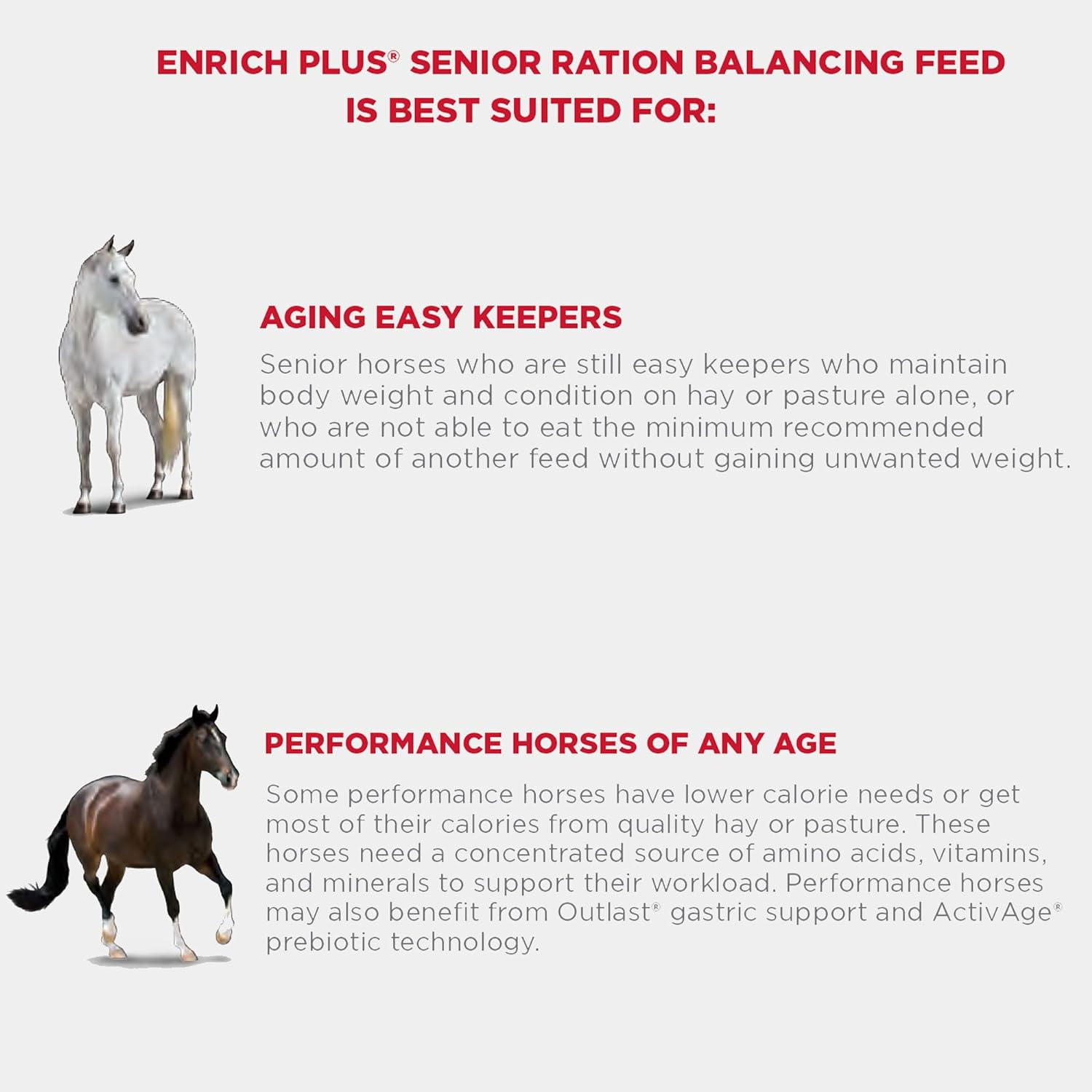 Purina Animal Nutrition Enrich Plus Senior Ration Balance Pellet 50lb