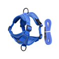 thumbnail image 1 of Dog Harness Vest Reflective Vest Style Harness and Leash Escape Proof Breathable Pet Chest Vest Walking Leash for & Small Medium Dogs Adjustable Pet Harness Walking Control Vest Pet Gear, 1 of 8