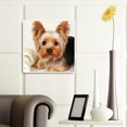 thumbnail image 1 of Cuadros Decorativos 5D DIY diamante pintura perro completo cuadrado taladro mosaico Animal imagen Kit pared arte Ndcxsfigh  Nuevos Originales, 1 of 1