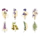 thumbnail image 1 of Conjunto de pegatinas de mosaico de oro caliente, monopatín transparente, equipaje, clip para portátil, 1 of 5