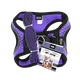 thumbnail image 1 of Set Arnes Y Correa Fancy Pets Sportie XCH Violeta, 1 of 2