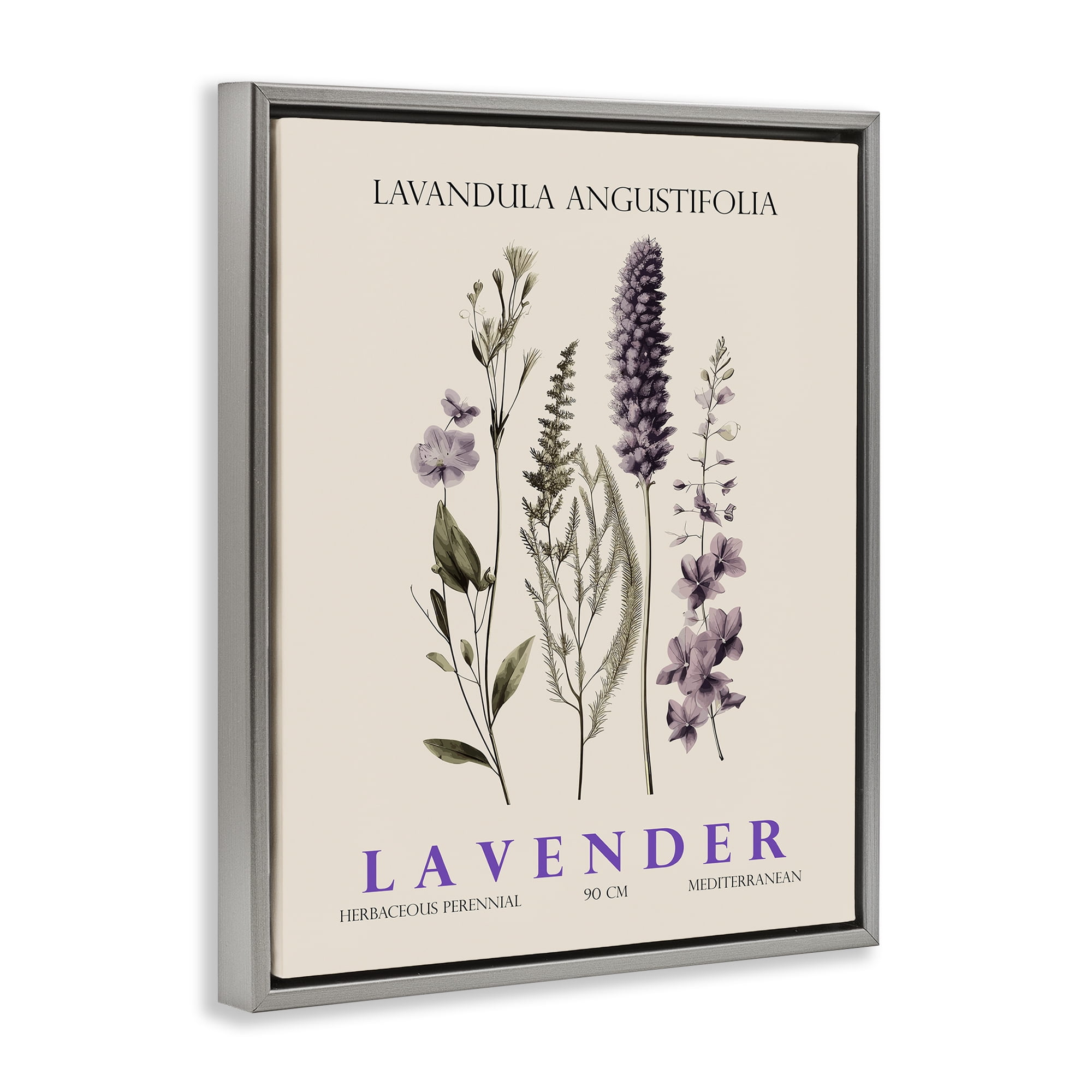 Stupell Industries Natural Lavender Bundle Gray Framed Floater Canvas Wall Art, design by Christopher Giampietro