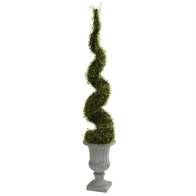 Mohlenbechia Spiral Tree with Decorative Urn