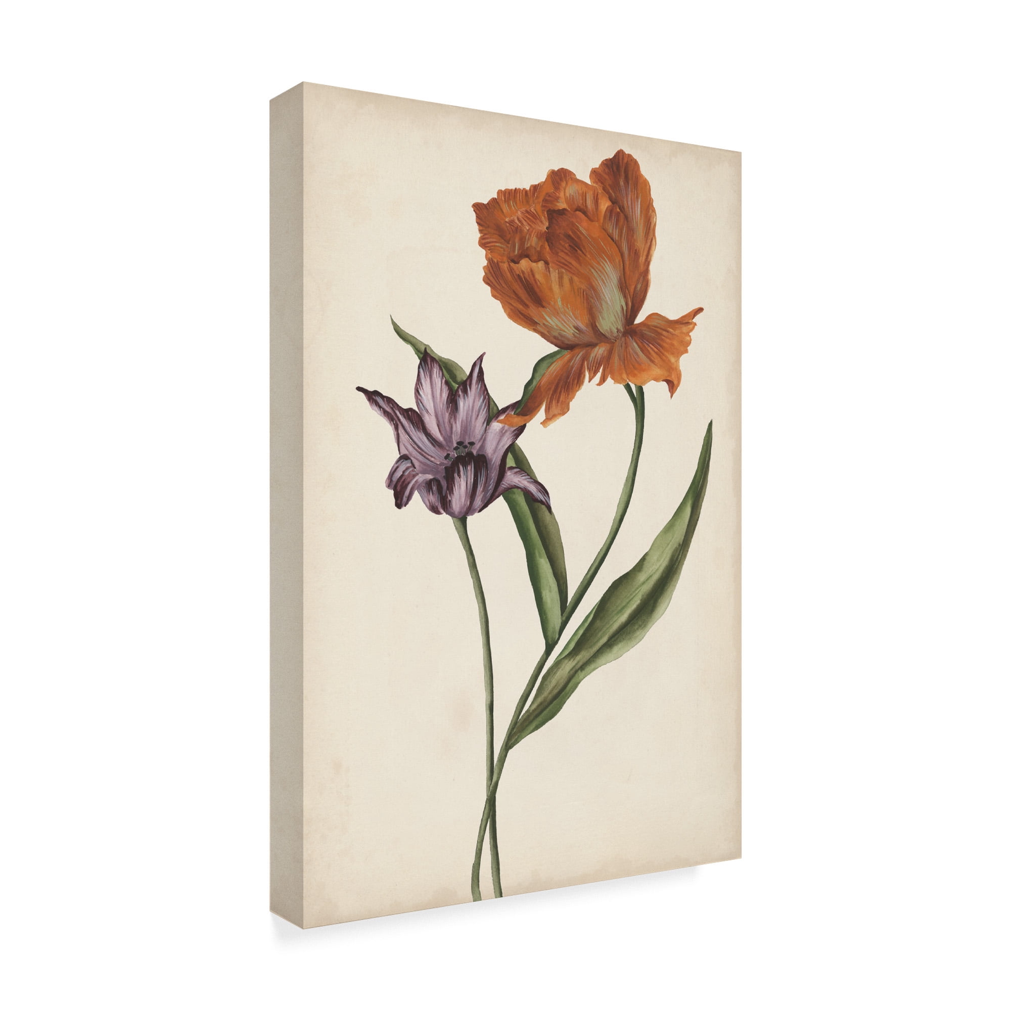 Trademark Fine Art 'Two Tulips II' Canvas Art by Melissa Wang