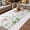Pink, variant on Spring Daisy Outdoor Rug for Patio/Deck/Porch, Non-Slip Large Area Rug 3 x 5 Ft, Pink Moroccan White Wildflowers Country Plants Indoor Outdoor Rugs Washable Area Rugs, Camping Rug Carpet Runner