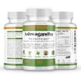 thumbnail image 4 of DrPKLyfe Adaptogen Supplement - Ashwagandha Complex Blend 5-in-1 with Rhodiola Rosea, Maca, Ginseng, Holy Basil - Focus, Energy and Vitality for Men & Women - 3 Month Supply (180 Capsules), 4 of 11
