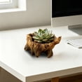 thumbnail image 3 of Outdor Modern Ceramic With Hole For Indoor Decorative Succulent Container, 3 of 3