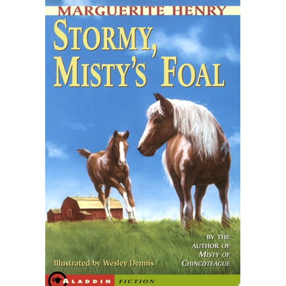 Pre-Owned Stormy, Misty's Foal (Paperback) 0689714874 9780689714870