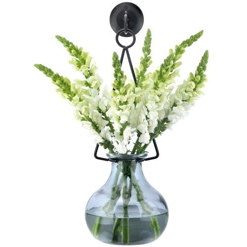 Couronne Co Gourd Recycled Glass Wall Vases for Flowers, Decorative Vases for Home Decor with Metal Holder - 101.4 oz