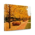 thumbnail image 2 of "Fall Walkway" By Abhi Ganju, Fine Art Giclee Print on Gallery Wrap Canvas, Ready to Hang, 2 of 2