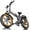 Grey, variant on GOKEEP X20 Electric Bike for Adults, 750W Motor Electric Bicycle with 48V 21.3AH Removable Li Dual Battery, 20" x4.0 Fat Tire Folding Electric Dirt Bike, E-Mountain Bike, UL2849, Black