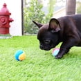 thumbnail image 2 of Midlee Pelotas de tenis para perros X-Small de 1,5 pulgadas, paquete de 12 (surtido de 1,5 pulgadas), 2 of 5
