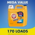 Arm & Hammer Clean Burst, 170 Loads Liquid Laundry Detergent, 255 Fl oz