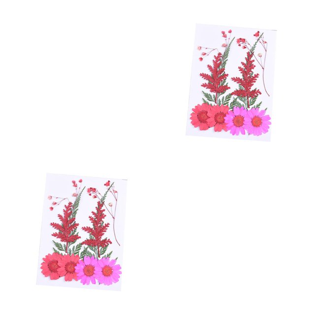 Advancent Ramos de flores secas, flores prensadas, pintura de pared múltiple, accesorios de bricolaje, suministros para fiestas, artículos para el hogar, Type2 NO2 Advancent CBP225324
