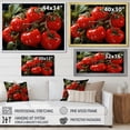 thumbnail image 4 of Designart "Dancing Tomato Vines II" Vegetables Canvas Wall Art, 4 of 7