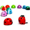 Dazzling Toys Flipping Wind-up Lady Bugs - 6 Pack - Bulk. Great for parties and Favor bags