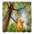 thumbnail image 3 of Ambesonne Landscape Shower Curtain, Vibrant Summer Sky, 69"Wx70"L, Green Brown, 3 of 5