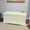 Antique White, variant on Camden Blanket Storage Chest