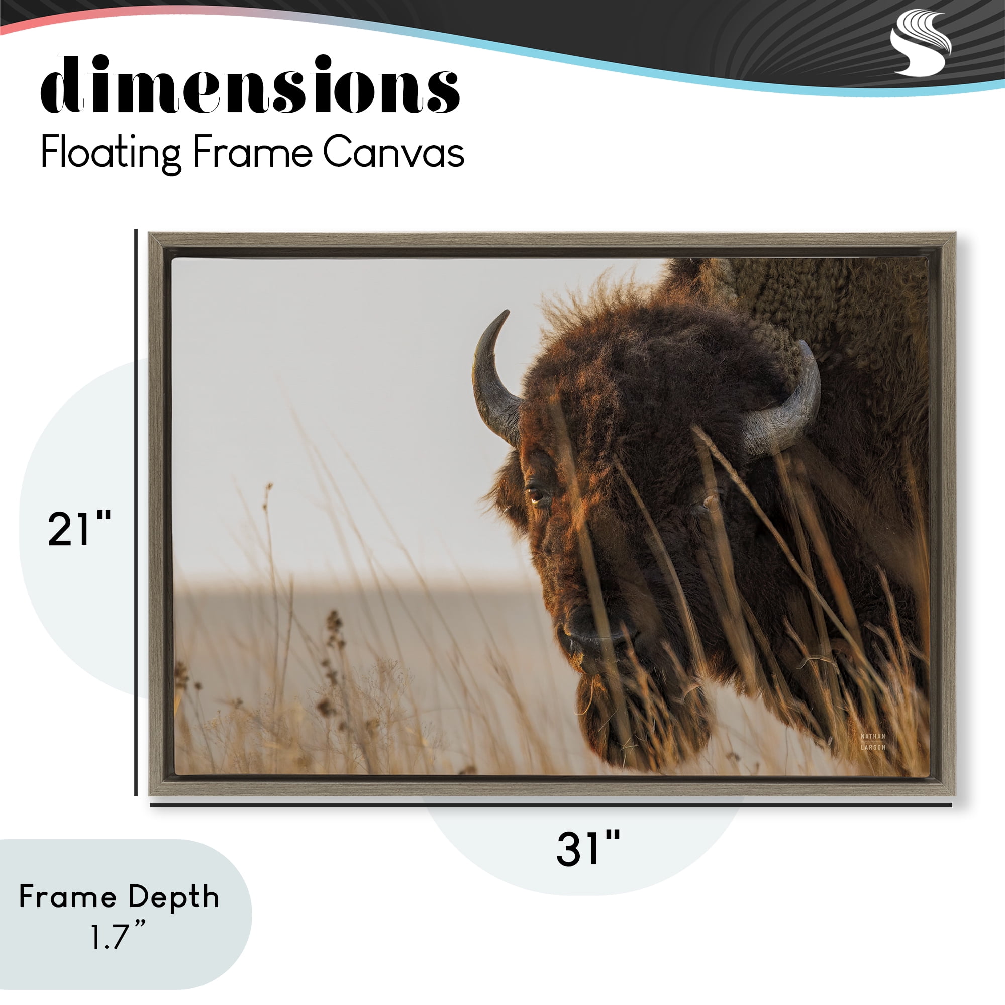 Stupell Industries Bison Sunset on Golden Prairie Brown Framed Floater Canvas Wall Art, design by Nathan Larson