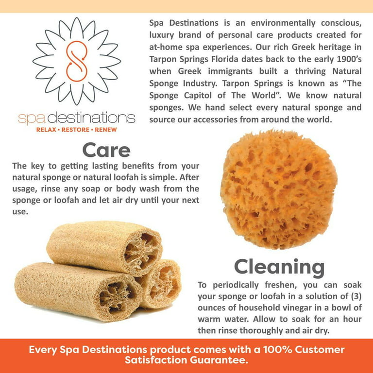 Natural Sea Wool Sponge 4-5 by Spa Destinations 庐 Amazing Natural Renewable  Resource Creating The In Perfect Bath and Shower Experience 100%  Satisfaction Guarantee! 