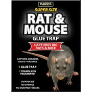 Harris Super-Size Rat and Mouse Glue Trap with Lure, 1 Trap