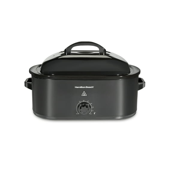 Electric Roaster