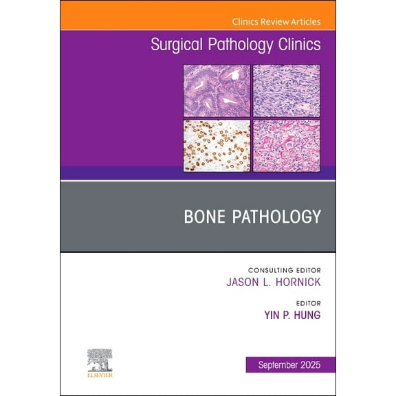 Clinics: Surgery Bone Pathology, an Issue of Surgical Pathology Clinics: Volume 18-3, Book 18, (Hardcover)