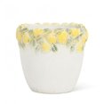 thumbnail image 1 of Small Lemon Edge Planter, 1 of 2