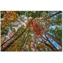 Trademark Fine Art "New York Fall-I" Canvas Art by David Ayash
