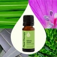thumbnail image 3 of Plant Therapy Nature Shield Essential Oil Blend 10 mL (1/3 oz) 100% Pure, Undiluted, Natural Aromatherapy, 3 of 9