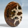 thumbnail image 2 of Natural Mud Crack Fossil 4.1x5.7cm Cabochon Fine Loose Gemstone 97.1Cts., 2 of 2
