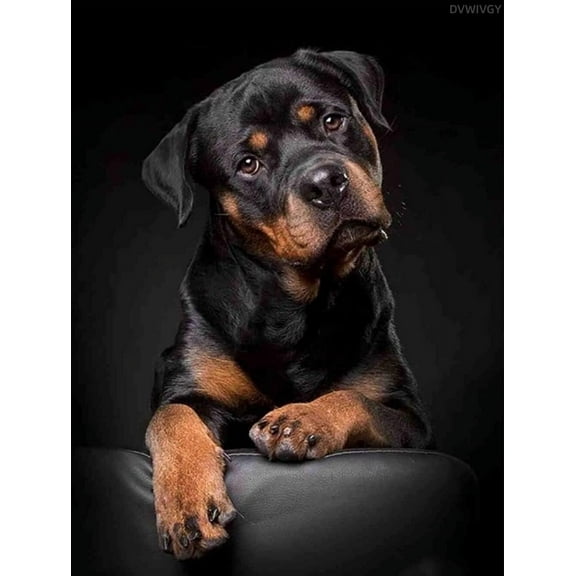 Cute Dog Jigsaw Puzzle1000 Pieces for Adults, Rottweiler Pet Dog Animal Jigsaw, Family Game Gift Home Decoration Puzzle Dog Lovers Gift