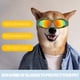 thumbnail image 5 of Gafas para perros de raza mediana y grande, gafas de sol para perros con protección UV con almohadilla de esponja y correa ajustable, a prueba de viento y polvo, 5 of 5