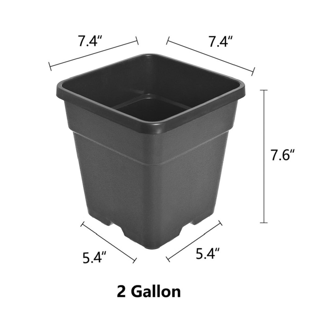 10 Pack Nursery Pots 2 Gallon Garden Planter Plastic Sqaure Seedling Pots White Flower Plant Container for Succulents, Seedlings, Cuttings, Transplanting, Black