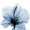 Unframed, variant on Art.com Indigo Hibiscus Art Print by Albert Koetsier, 16" x 16"
