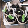 thumbnail image 4 of 200pcs Plant Labels Plant Identify Tags Garden Markers Garden Stake Tags, 4 of 8