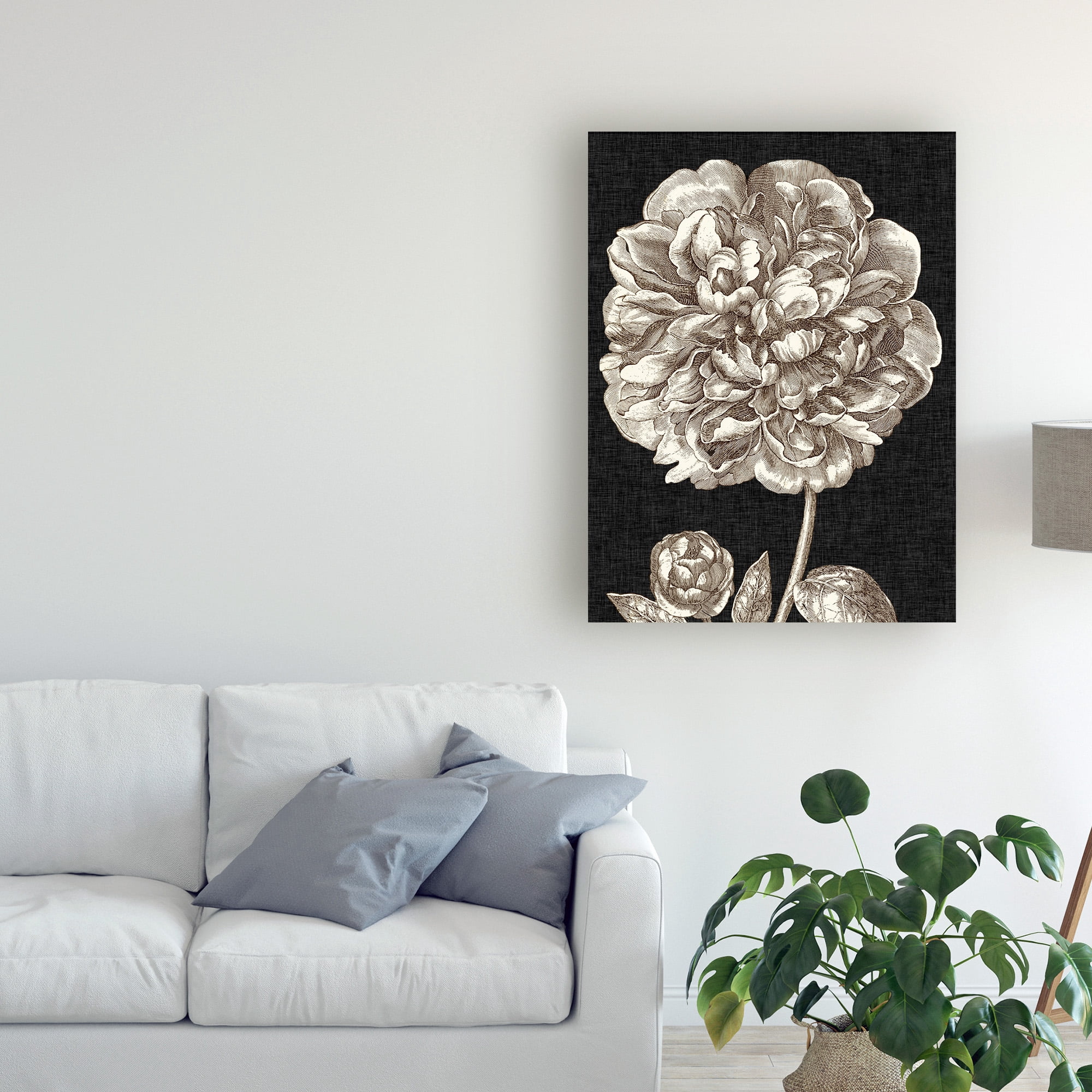 Trademark Fine Art 'Dramatic Peony II' Canvas Art by Vision Studio