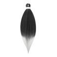 thumbnail image 1 of Wigs African Black Dirty Braid Wig Highlight Color Gradient Hair Extension, 1 of 4
