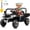 Black-a, variant on Funride 24 Volt Ride on Truck, Electric Car for Kids, Power Car Wheels with Remote, Bluetooth, LED Lights, Pink
