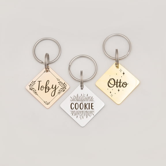 Anavia Stainless Steel Metal Diamond Name - Boarder Birthday Holiday Christmas Engraved Dog ID Tag, Silver