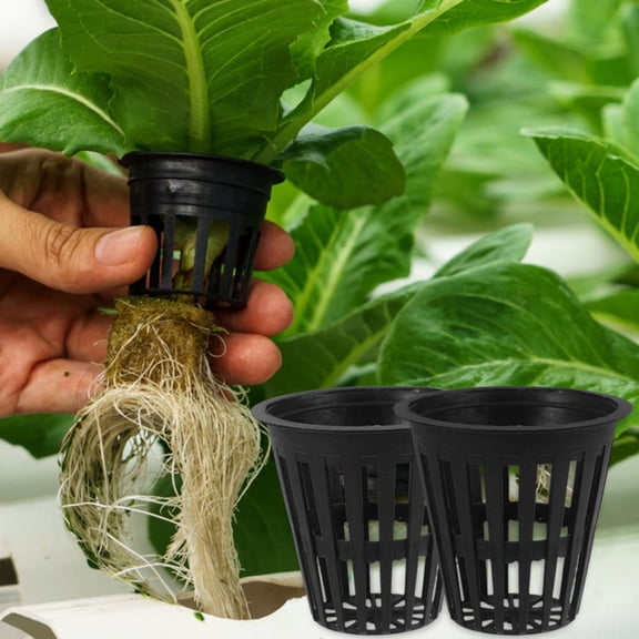 PENIKOKO 5Pcs Plastic Hydroponic Net Cups Black Slotted Baskets for Healthy Vegetable Root Growth