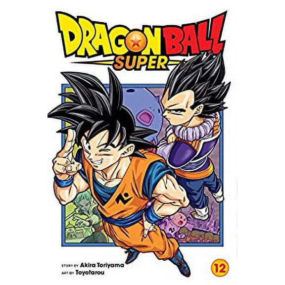 Pre-Owned Dragon Ball Super, Vol. 12 (Paperback) 1974720012 9781974720019