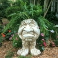 thumbnail image 5 of CAROOTU The Face Statue Planter Resin Funny Face Figurine Plant Pot Creative Art Spring Decorations Desktop Organizer, 5 of 5