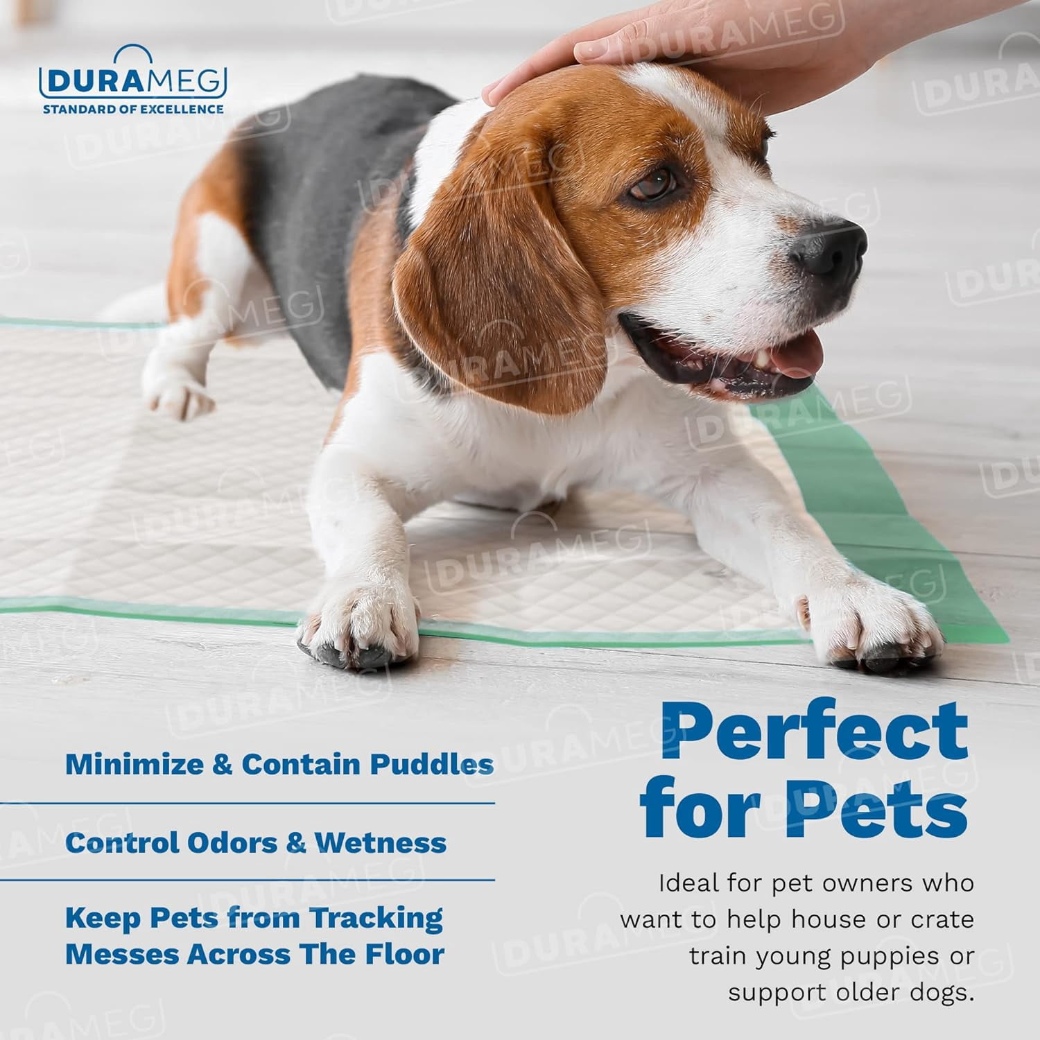 Chucks Disposable [50-Pads] Underpads 36x36 Incontinence Chux Pads - 8g Super Absorbent Polymer Protective Bed & Pee Pads for Babies, -, Adults & Elderly | Puppy Pads Large for Training Leak Proof